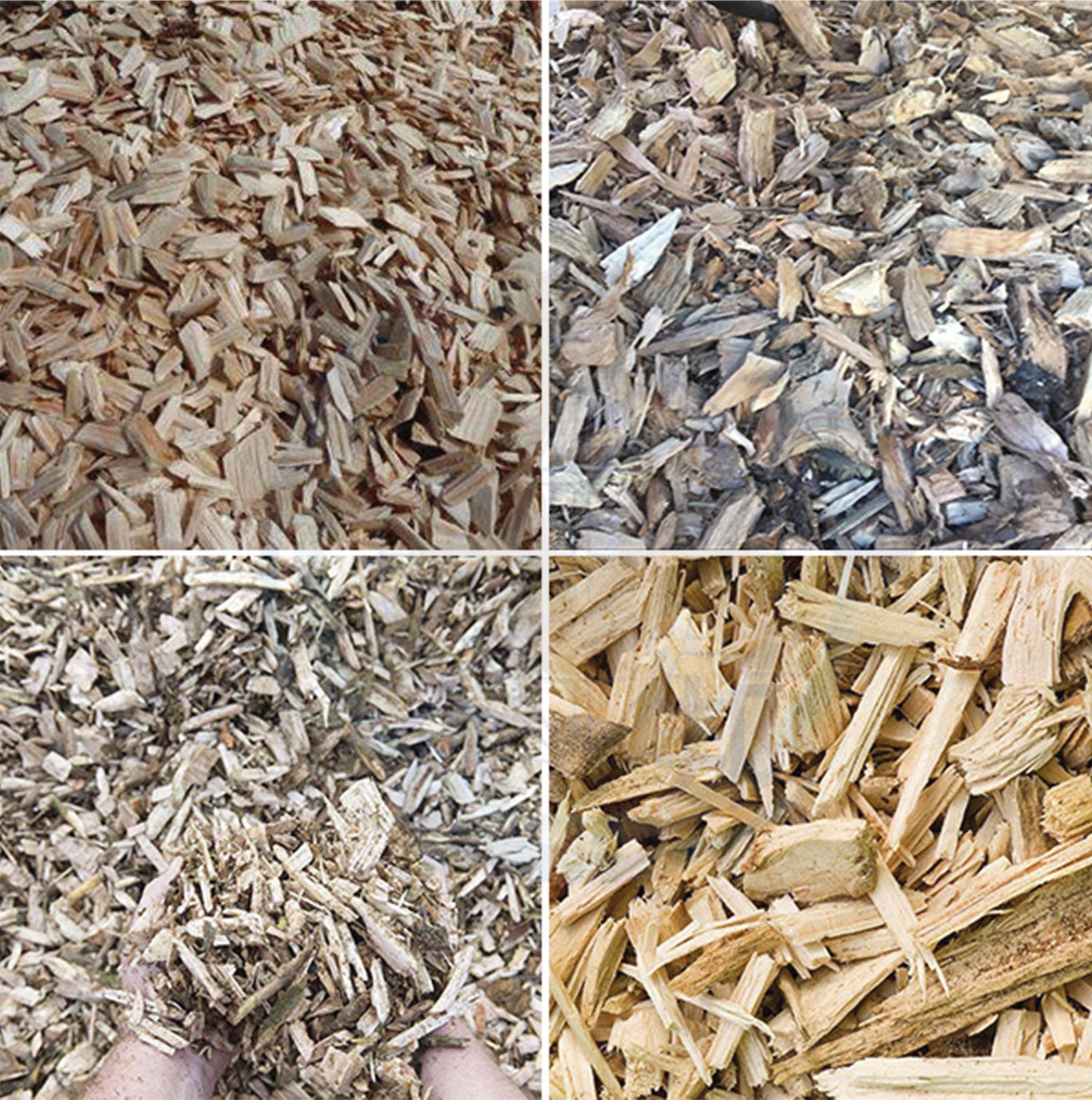 圓盤(pán)式樹(shù)根破碎機(jī)破碎效果